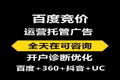 搜索引擎营销（SEM）的投放策略与效果评估——以某行业领先企业的案例分析
